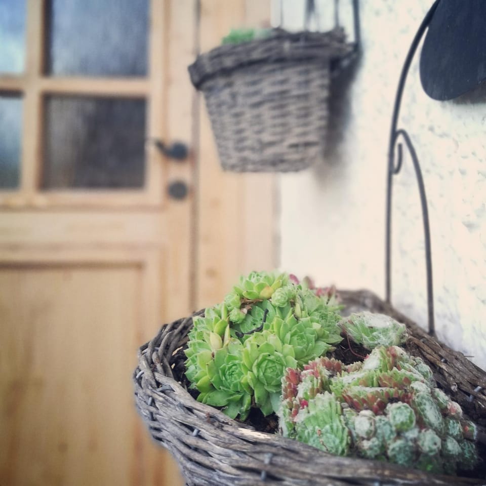 Facade/entrance, Decorative detail