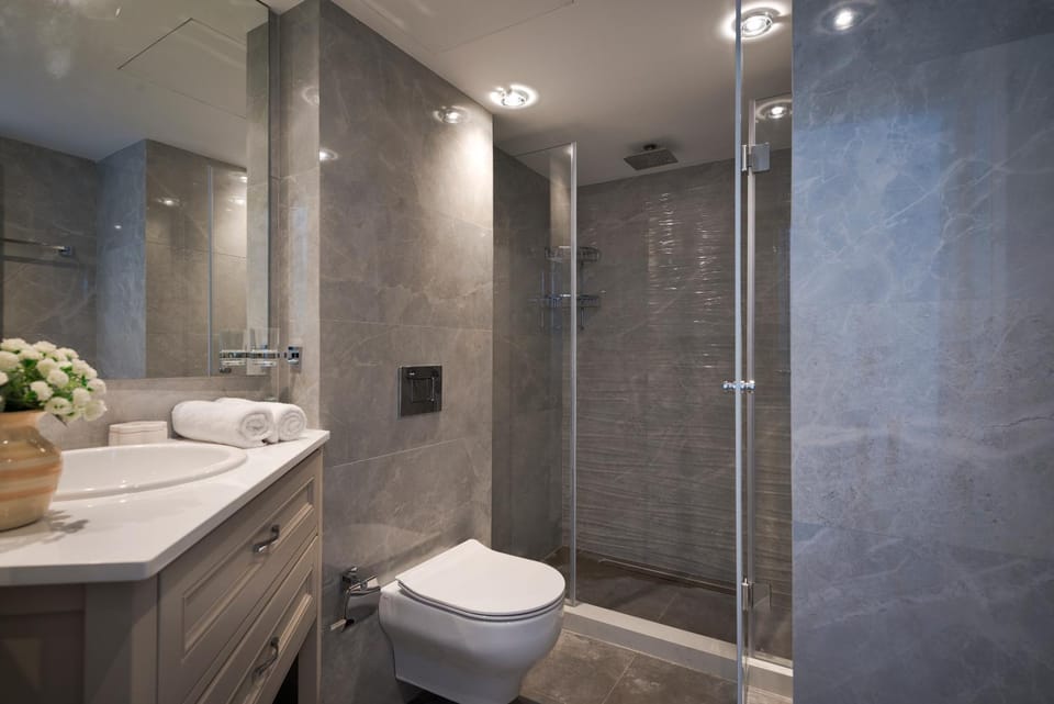 Shower, Toilet, Bathroom, towels