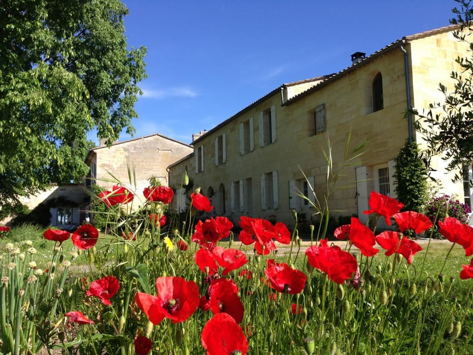 B&B Château Pierre de Lune Bed and Breakfast in Saint-Émilion