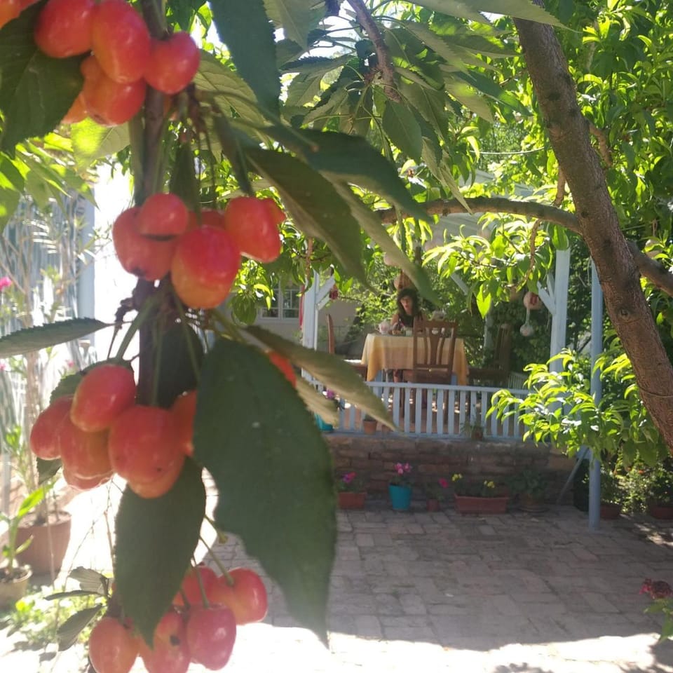 ANTICA Family Guest House Bed and Breakfast in Europe