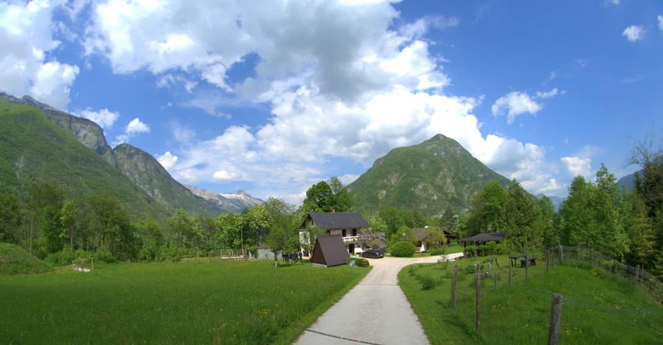 Mountain view