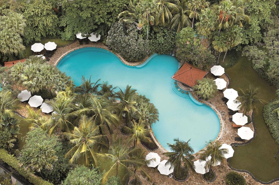 Natural landscape, Bird's eye view, On site, Garden view, Pool view, Swimming pool