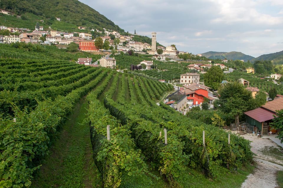 Natural landscape, Summer, Seasons