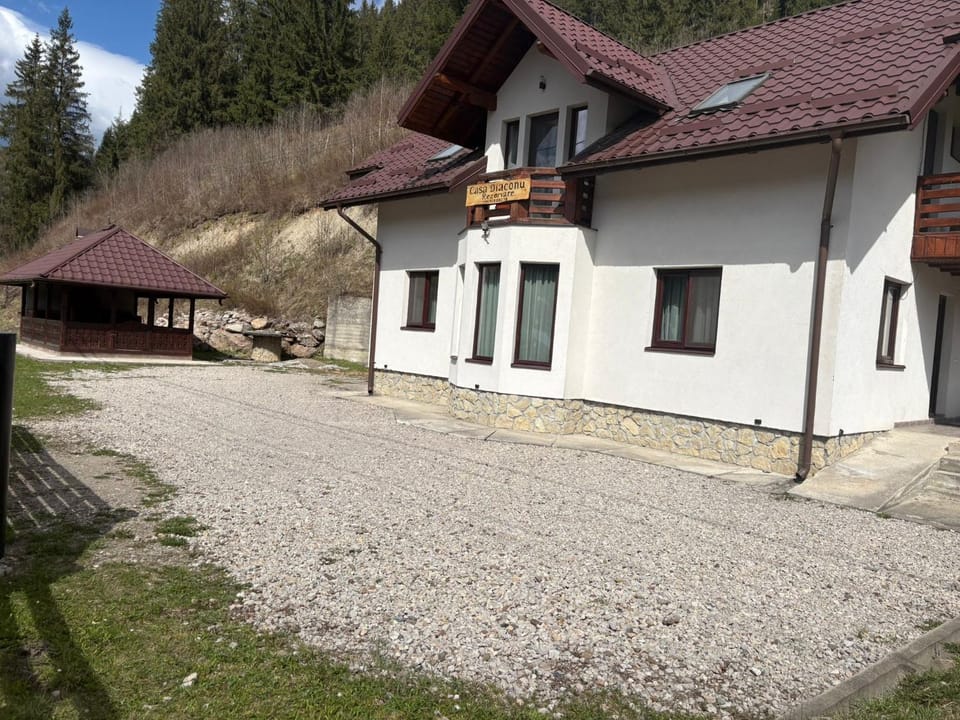 Casa Diaconu Chalet in Romania