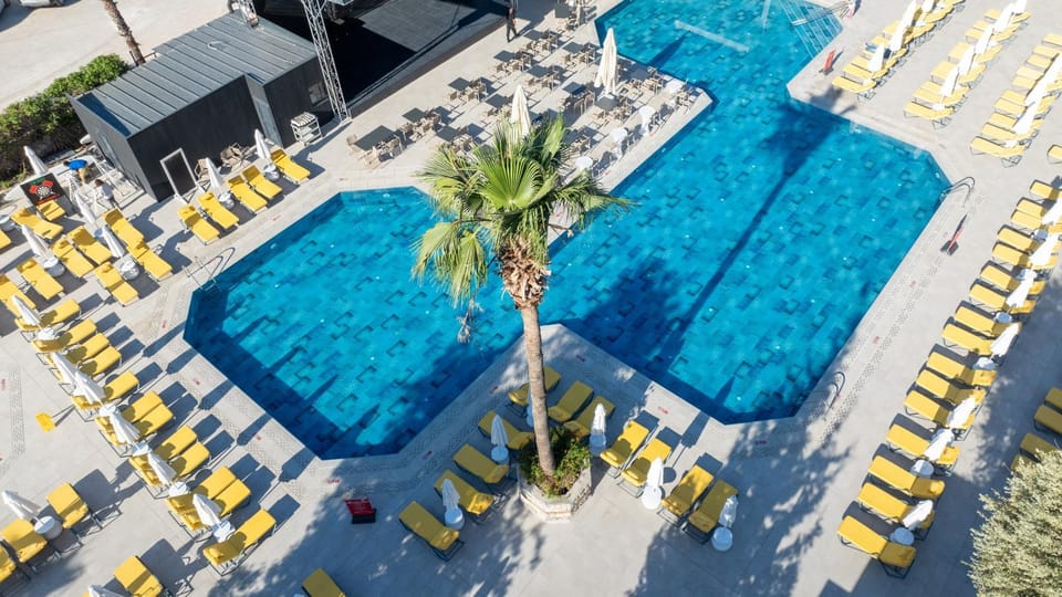 Day, Pool view, Swimming pool, Swimming pool, sunbed