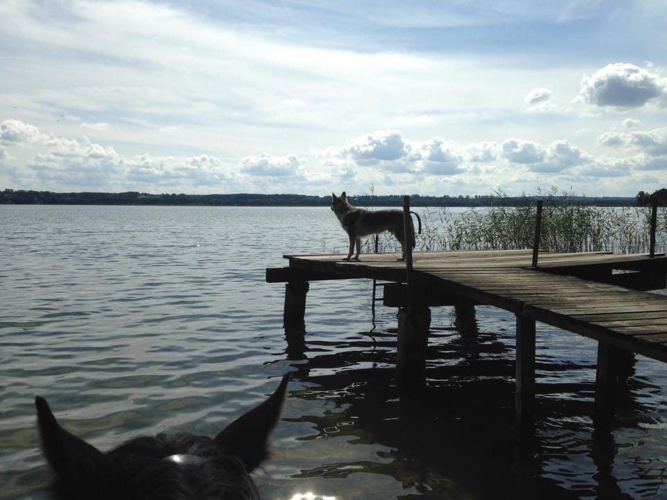 Fishing, Canoeing, Hiking, Cycling, Diving