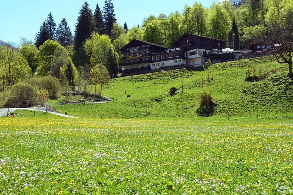 Property building, Summer