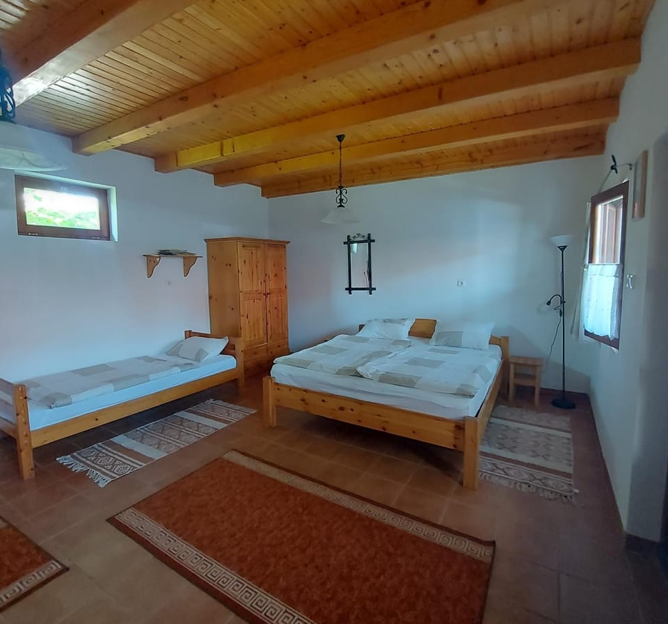 Szenkeparti Vendégház Bed and Breakfast in Slovakia