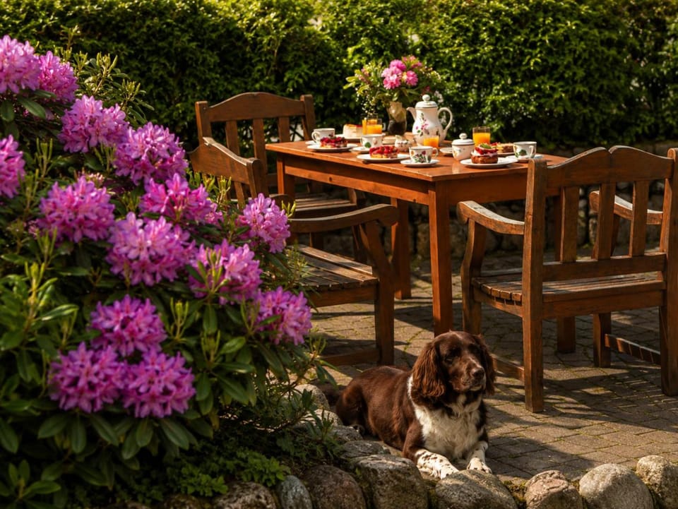 Summer, Garden