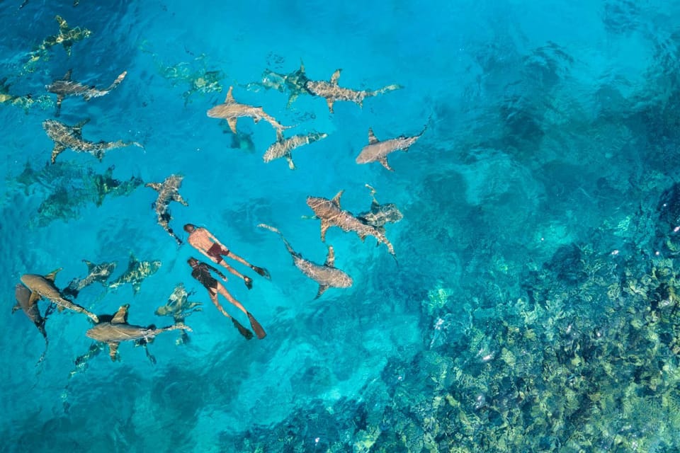 Snorkeling