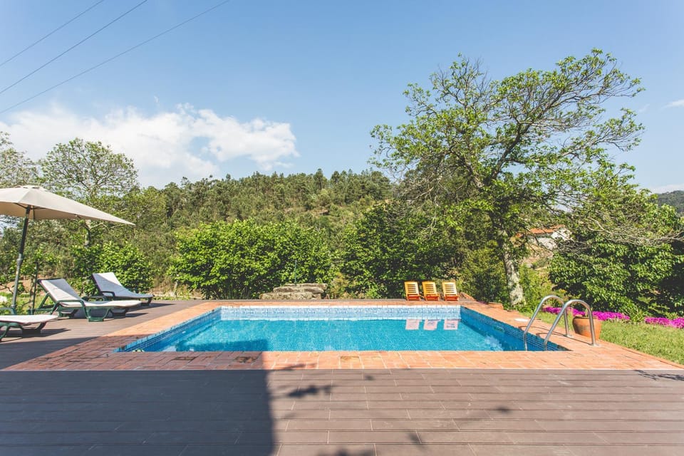 Garden, Pool view, Swimming pool