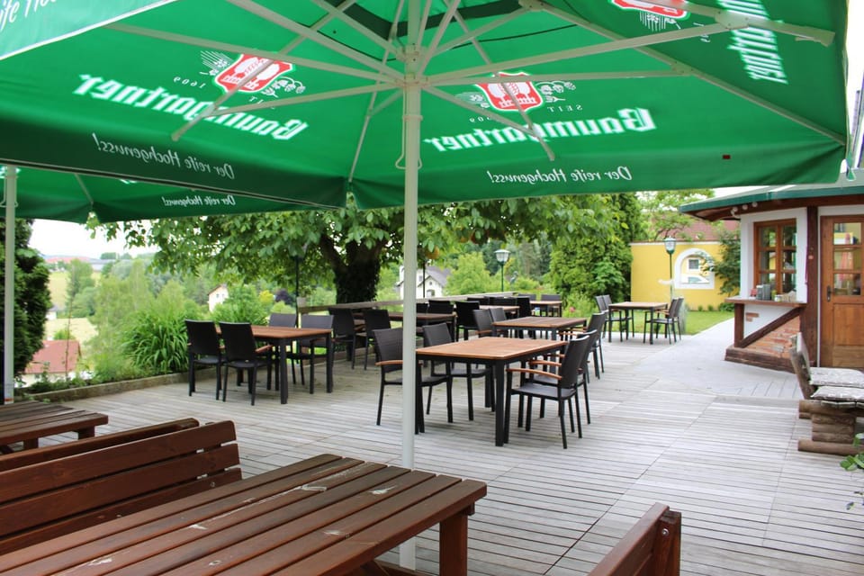 Pension Baumgartner-Berghof Hotel in Upper Austria