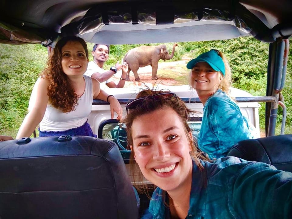 Chill House safari resort Bed and Breakfast in Southern Province