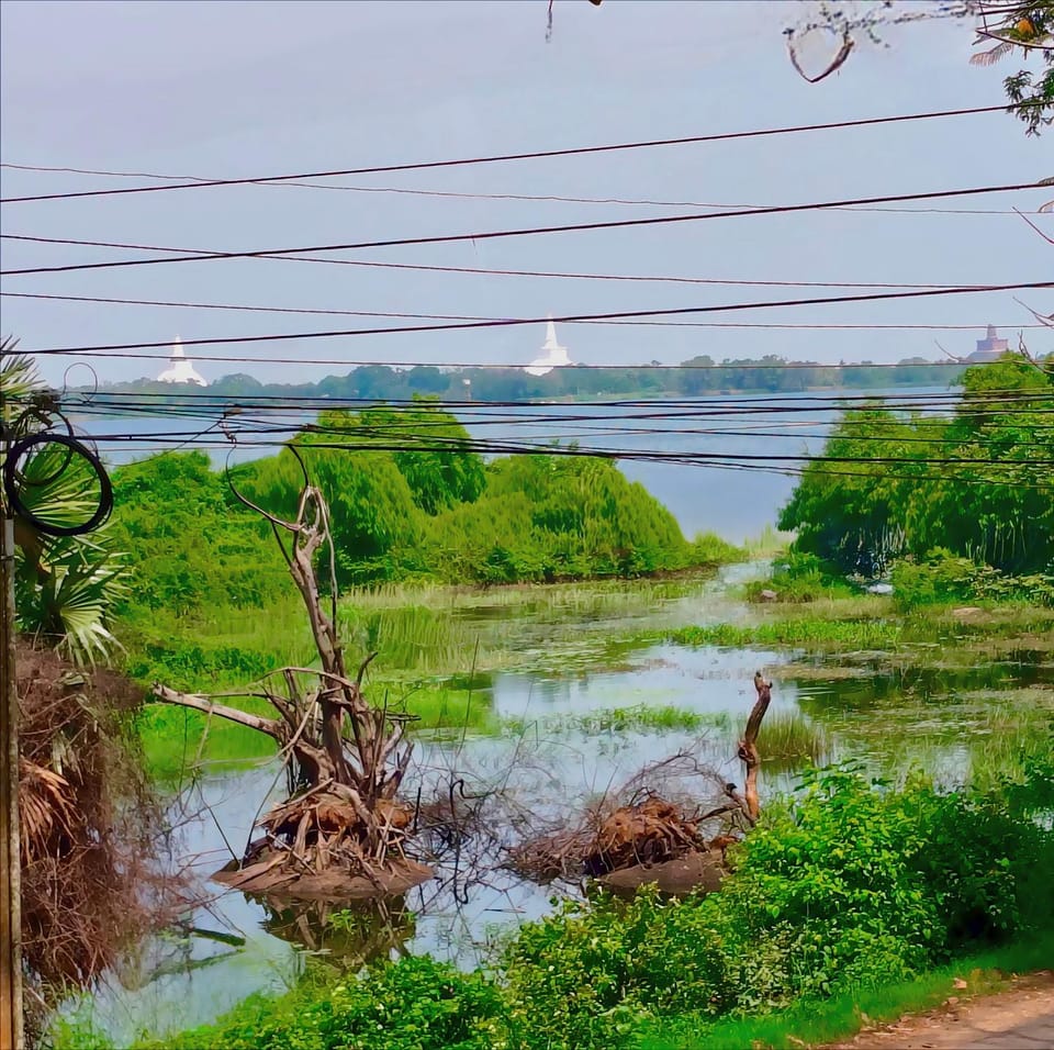 Natural landscape, Lake view