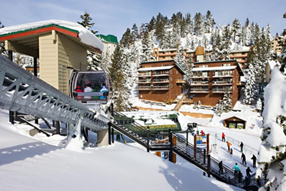 Skiing, Area and facilities