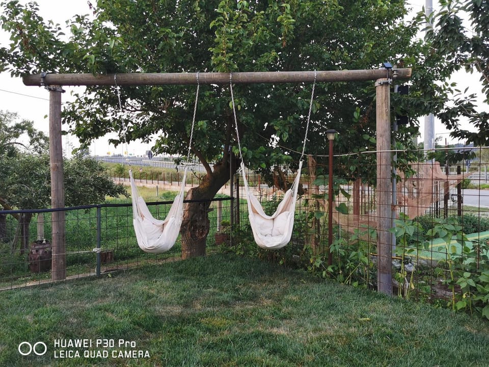 Children play ground, Garden