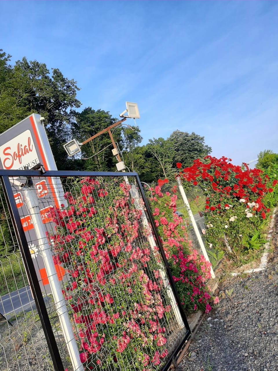 Sofial Guesthouse Bed and Breakfast in Hungary