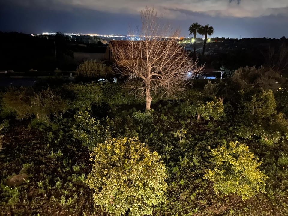 Spring, Garden, Garden view