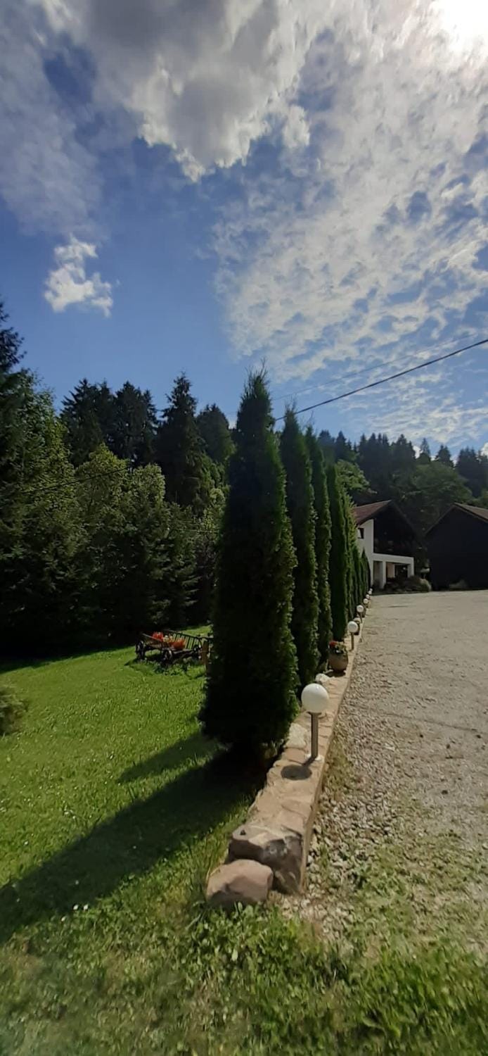 Cabana Alexandra House in Romania