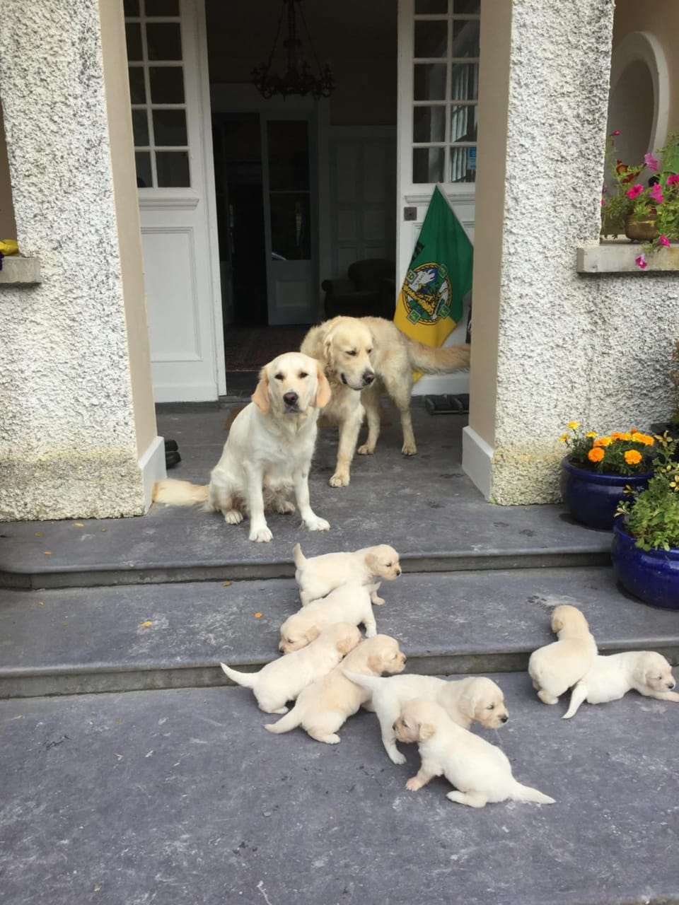 Glanleam House Vacation rental in County Kerry