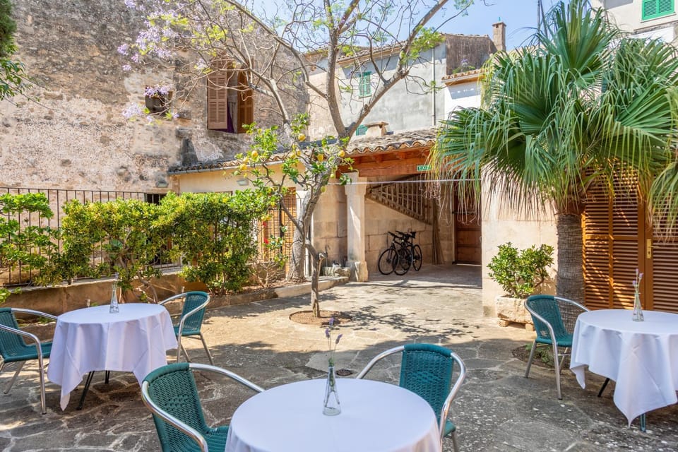 Patio, Garden, Garden view