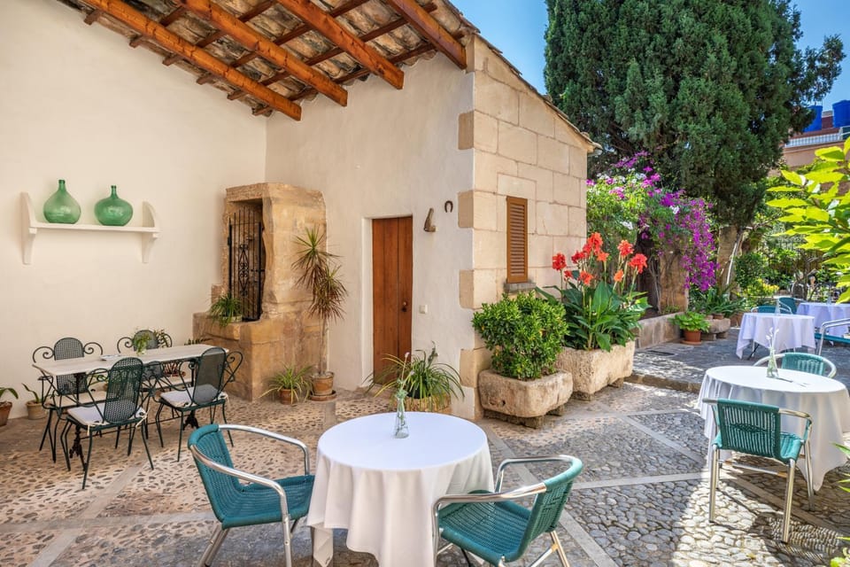 Patio, Garden, Garden view