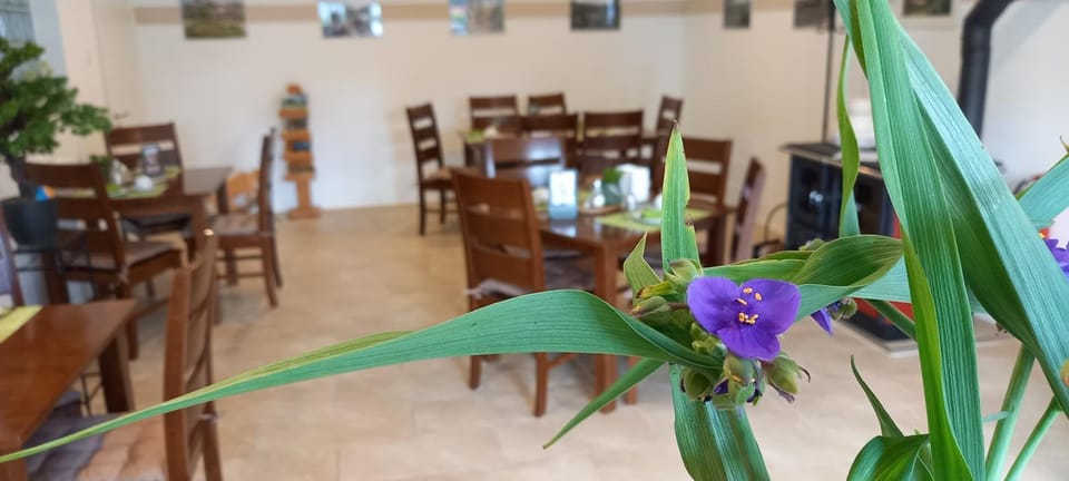 Restaurant/places to eat, Seating area