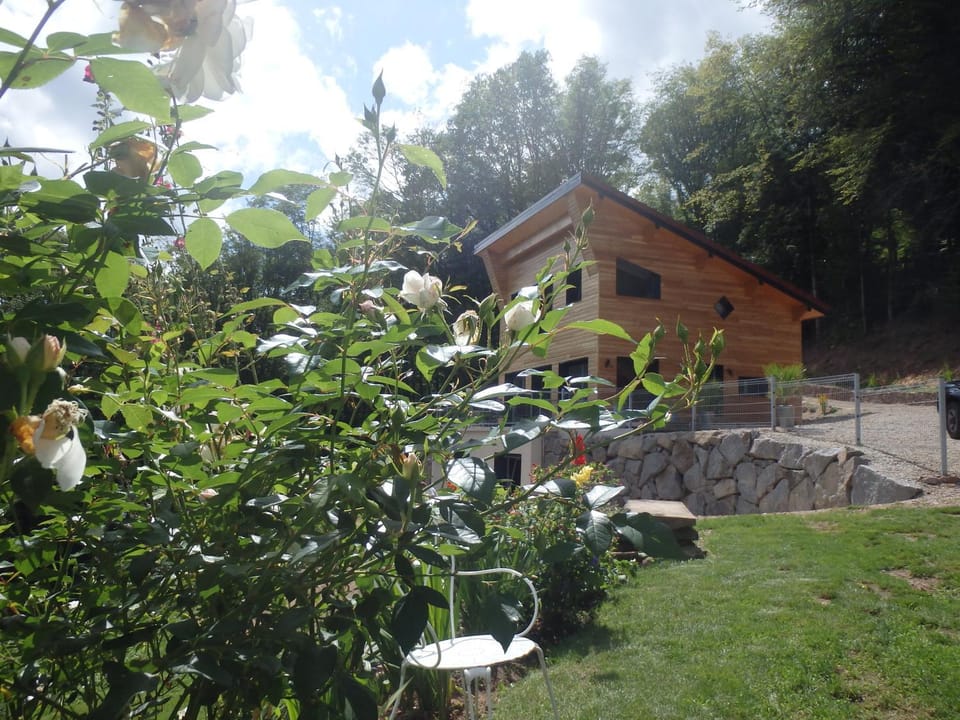 Day, Natural landscape, Garden