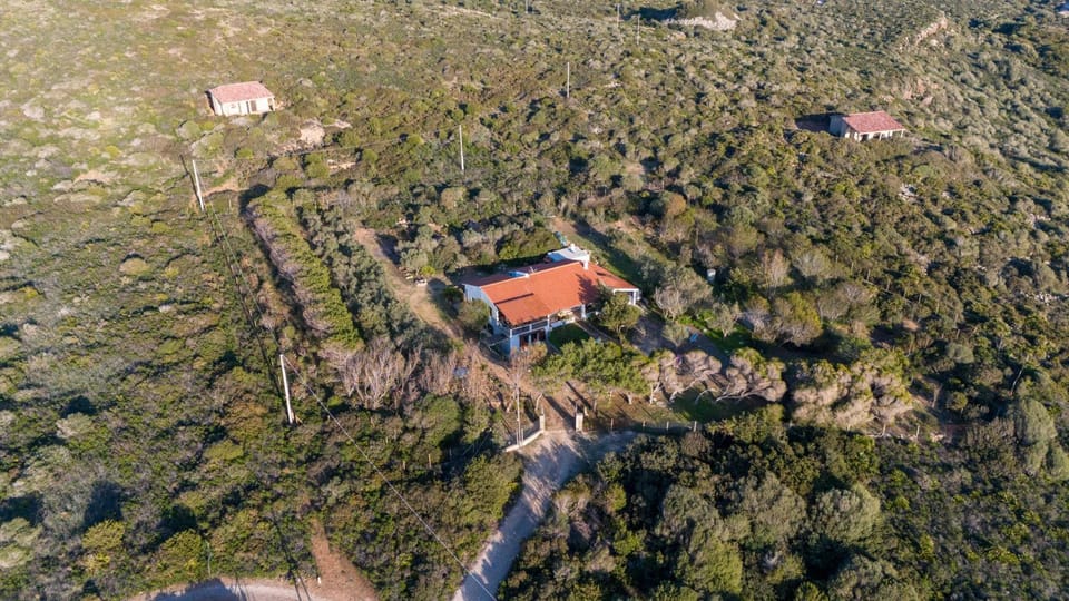 Property building, Bird's eye view