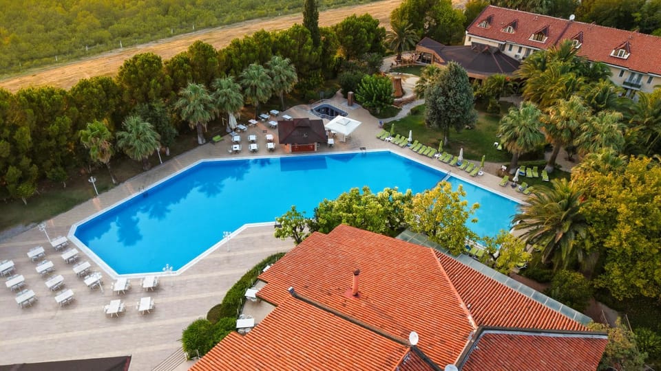 Swimming pool, sunbed