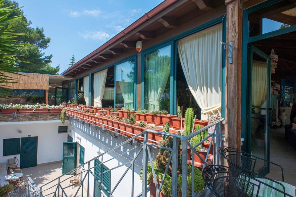 Garden view