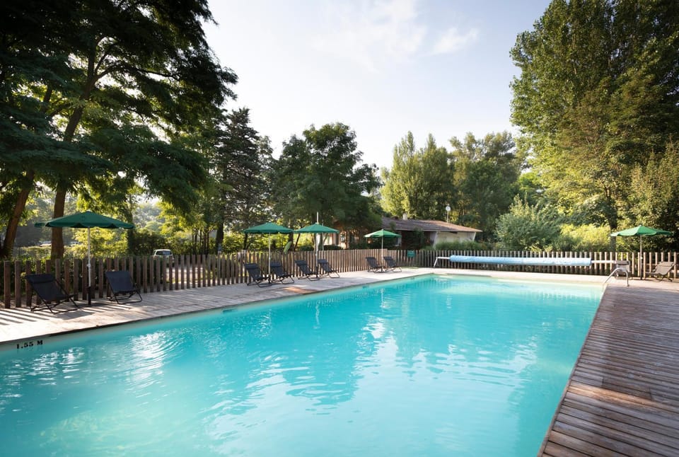 Garden, Garden view, Pool view, Swimming pool, sunbed