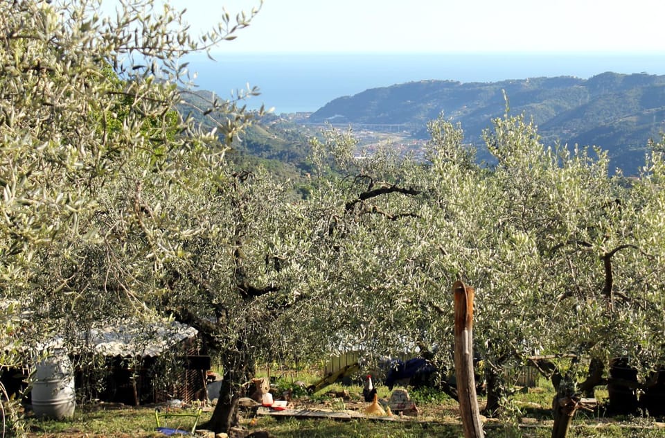 Property building, View (from property/room), On site, Garden view, Landmark view, Sea view