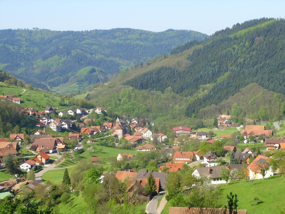 Neighbourhood, City view