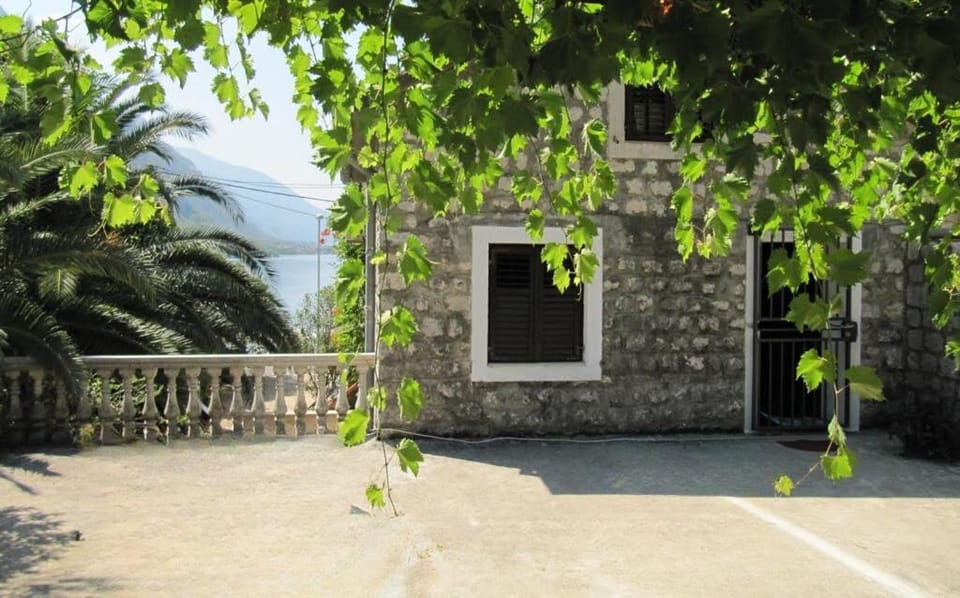 Property building, Natural landscape, Garden