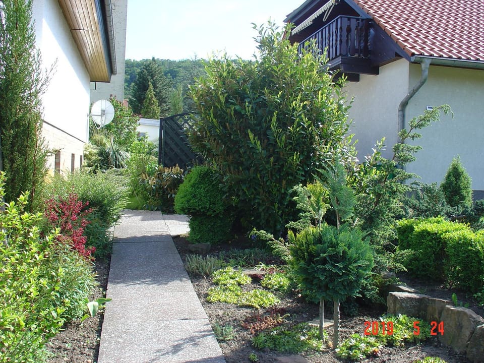 Property building, Facade/entrance, Garden