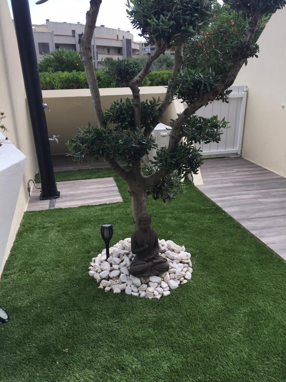 Garden view