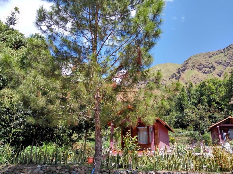 Garden view, Mountain view