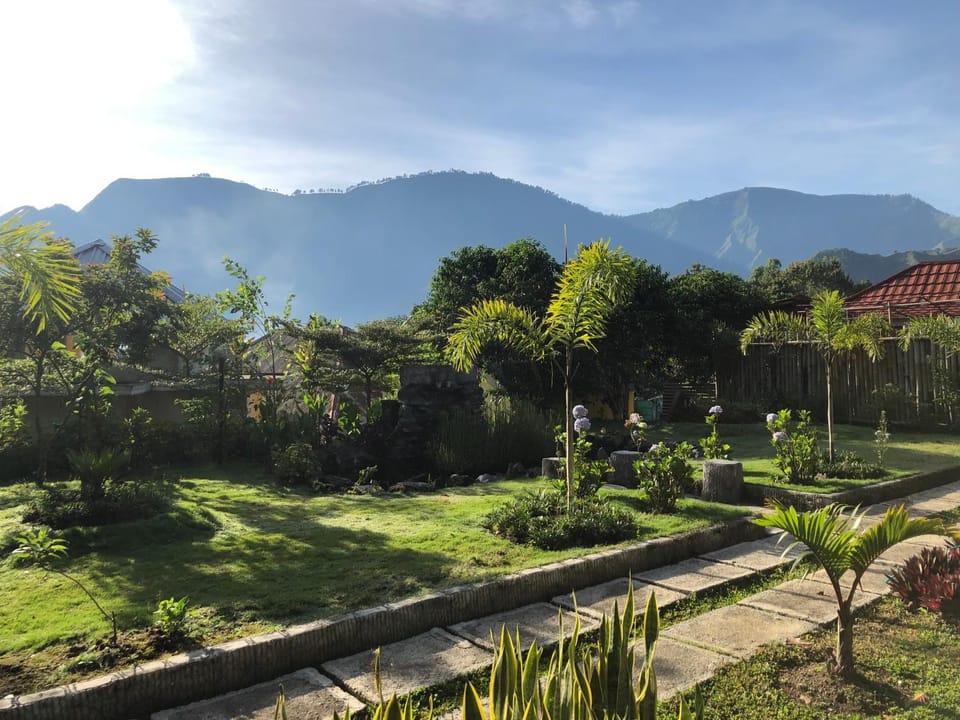 Natural landscape, Garden view, Mountain view