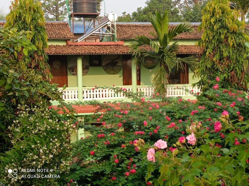 Property building, Garden view