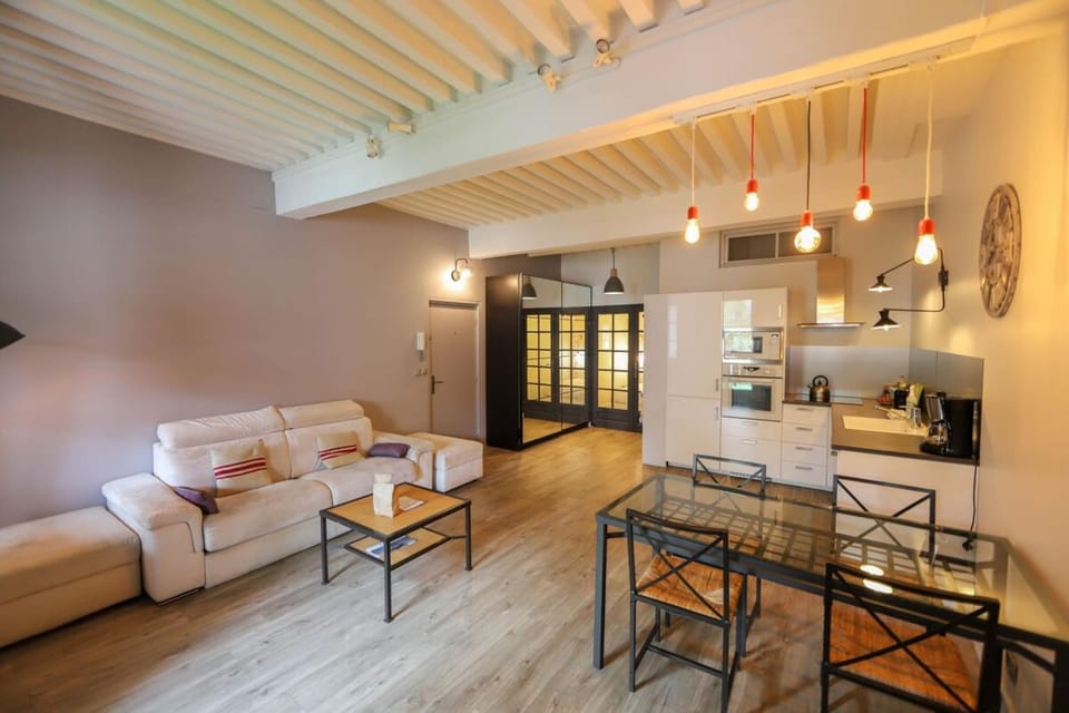 55 m2 Apart with big terrace in Annecy downtown Apartment in Annecy