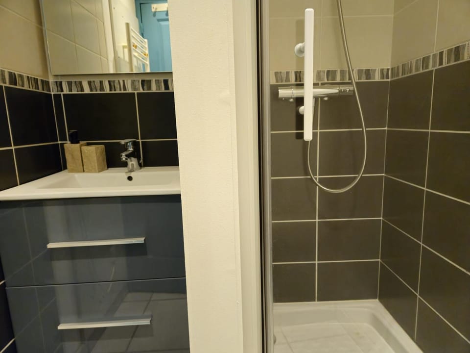 Vichy Apartment in Auvergne-Rhône-Alpes