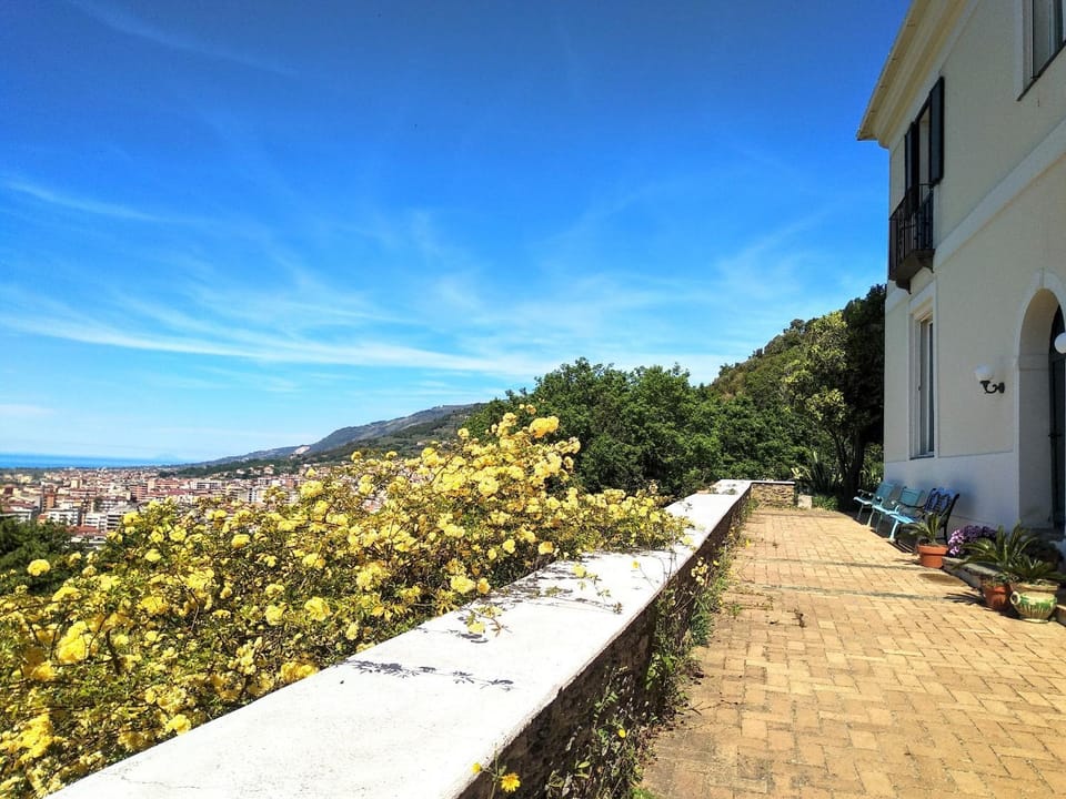 Property building, Balcony/Terrace, City view