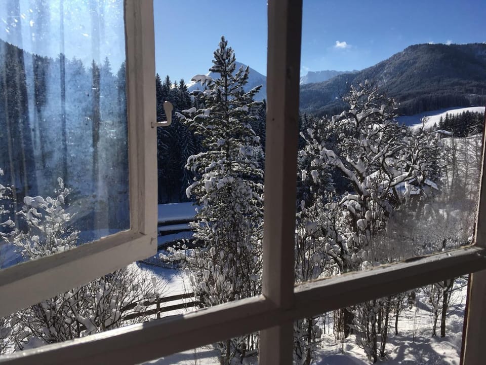 View (from property/room)