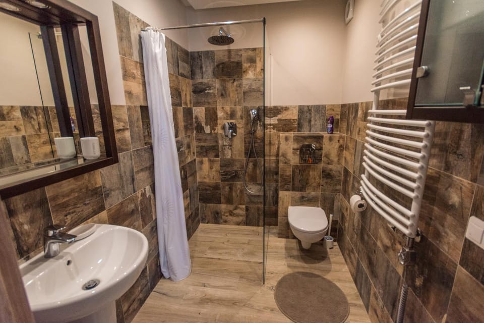 Shower, Toilet, Bathroom, View (from property/room), View (from property/room), Decorative detail, Decorative detail, furniture, furniture, heating, heating, internet, internet, towels, towels, dryer