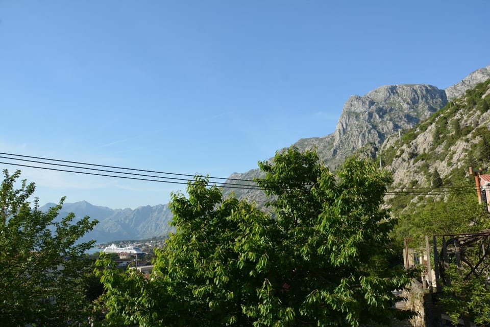 Apartment Milica Apartment in Kotor Municipality