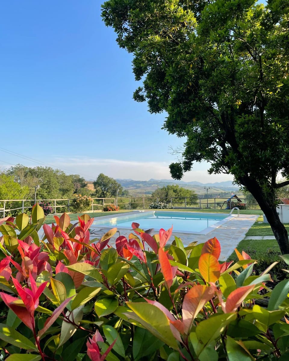 Garden, Garden view, Swimming pool