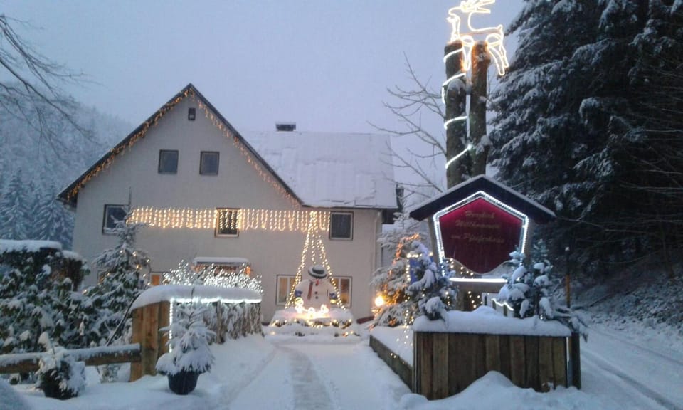 Waldpension Pfeiferhaus Bed and Breakfast in Bavaria