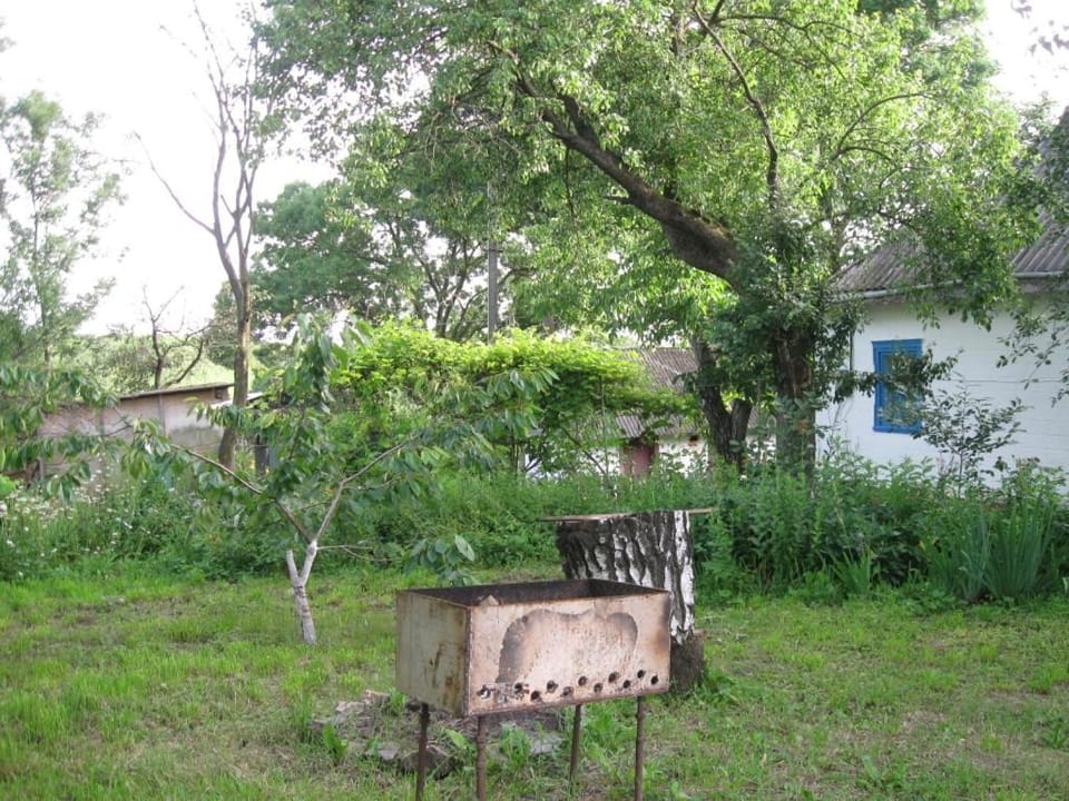 BBQ facilities