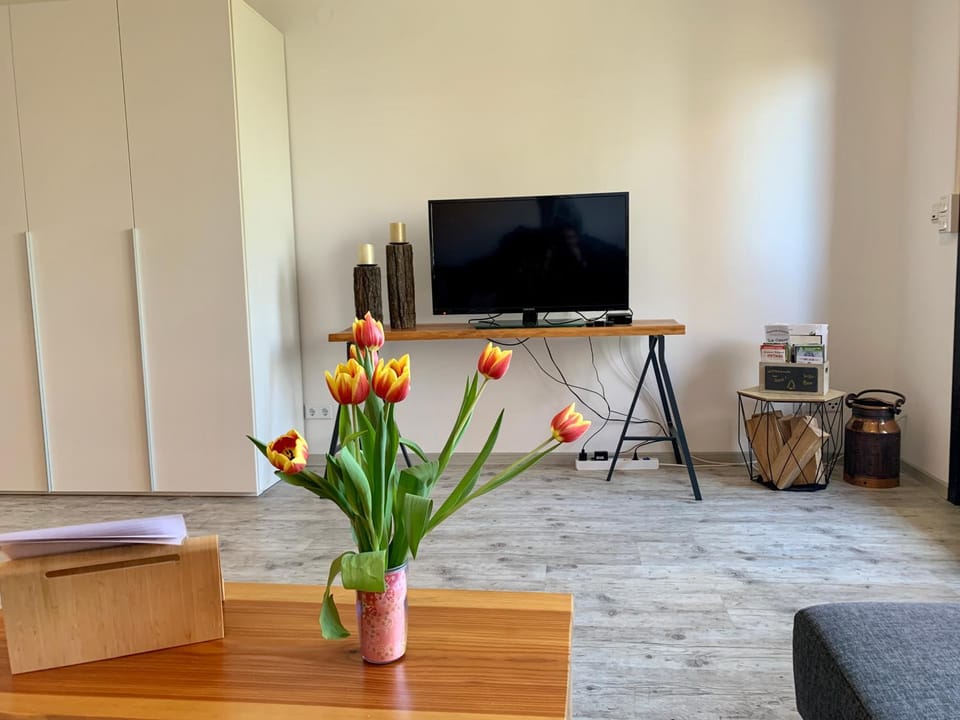 Living room, Photo of the whole room